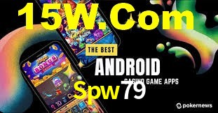 Premium Interface Spw79